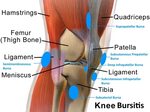 ★ Facts and Massage for Knee Injuries ⋆ Santa Barbara Deep T